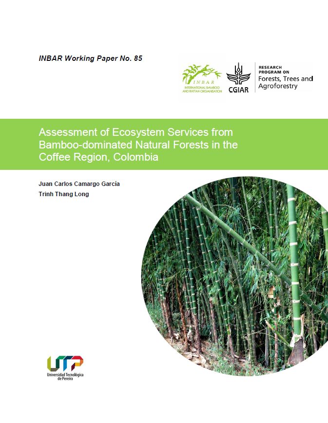Assessment of Ecosystem Services from Bamboo-dominated Natural Forests in the Coffee Region, Colombia