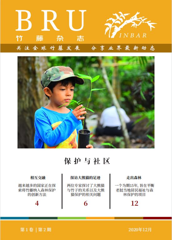 竹藤杂志第1卷第2期：保护和社区