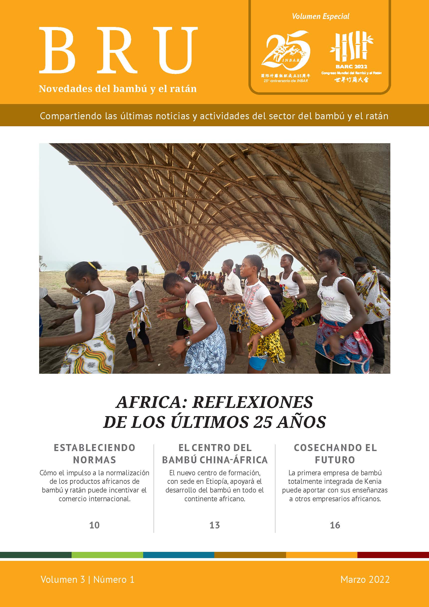 Novedades del bambú y el ratán Volumen 3 Número 1 – Africa: reflexiones de los últimos 25 años
