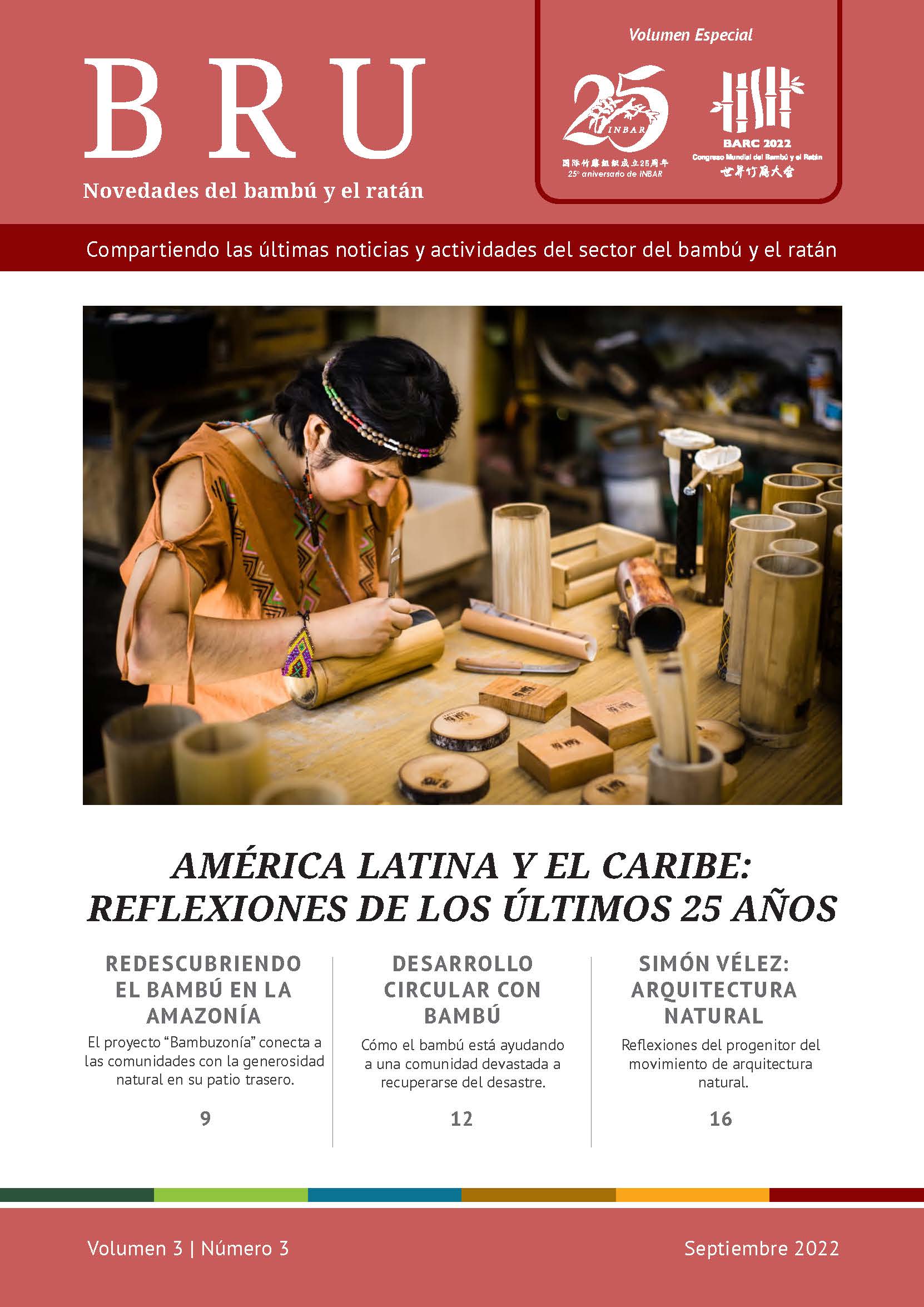 Novedades del bambú y el ratán Volumen 3 Número 3 – América Latina y el Caribe: reflexiones de los últimos 25 años