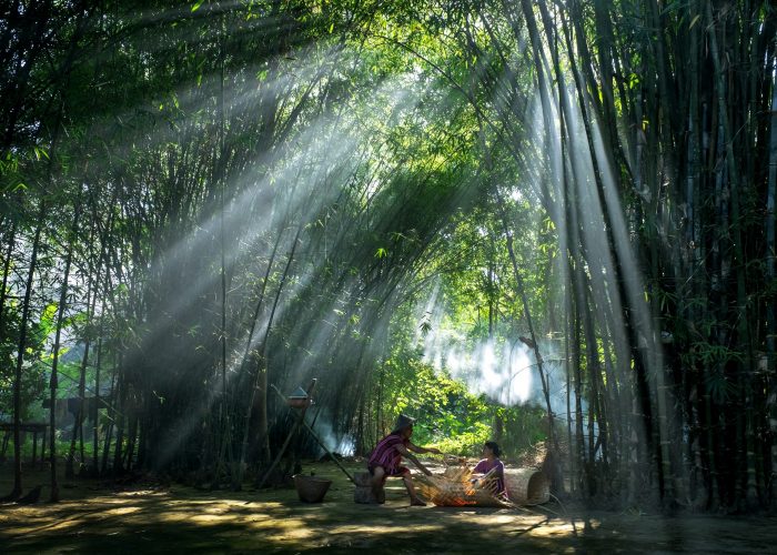 8. Kyaw Kyaw Winn_Home Work in the Nature - kyaw kyaw winn