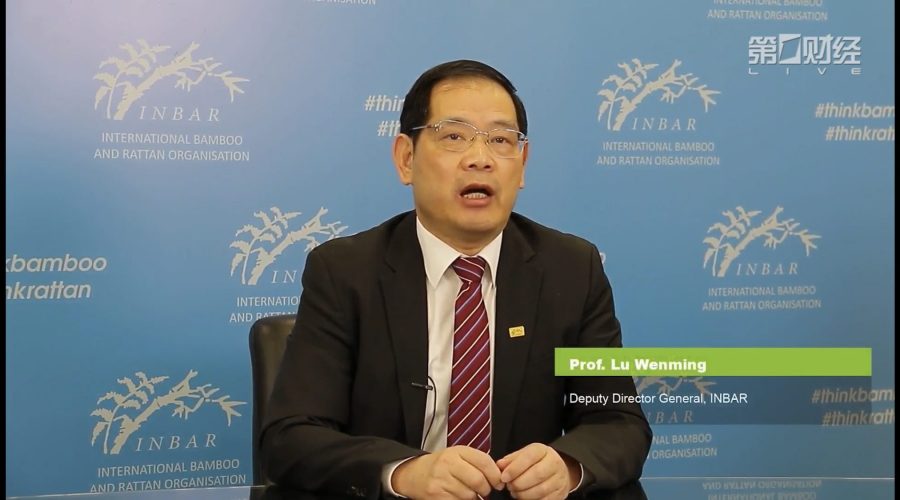 ECOSOC_Partnership Forum (3)