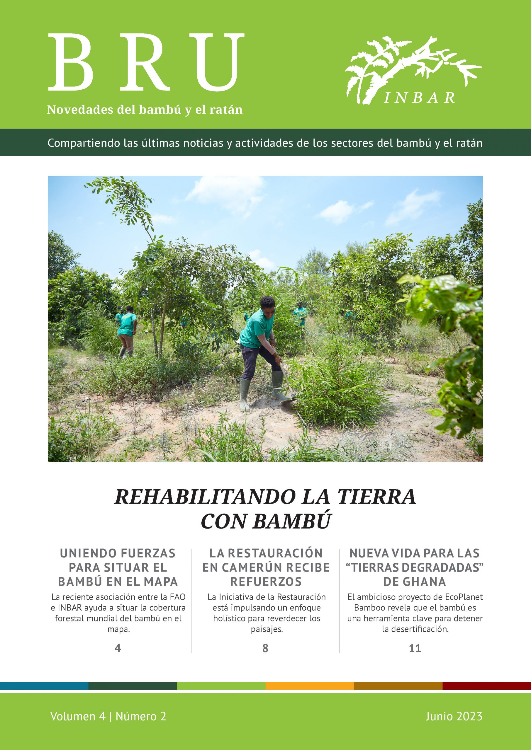 Rehabilitando la tierra con bambú – Novedades del bambú y el ratan Volumen 4 Número 2