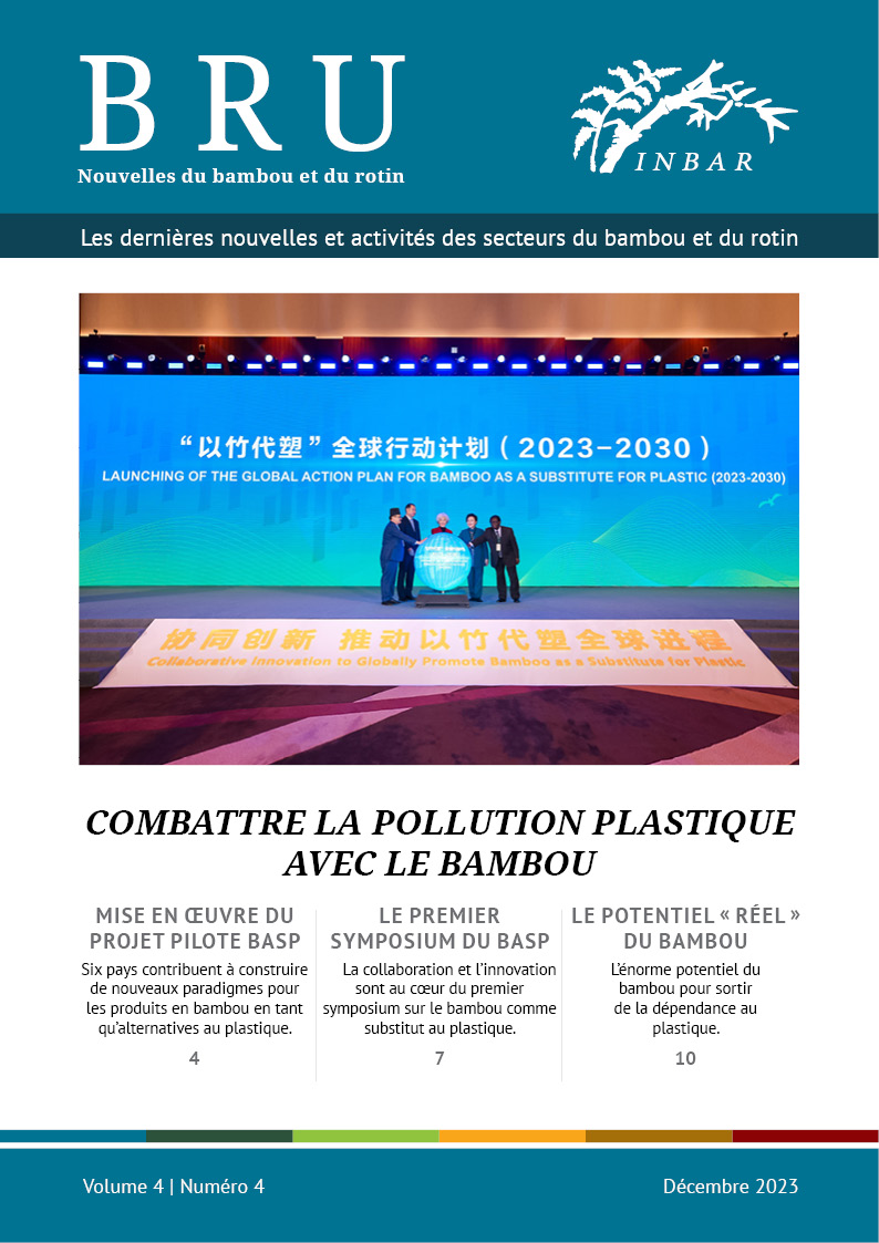 Combattre la pollution plastique avec le bambou – Nouvelles du bambou et du rotin Volume 4 Numéro 4