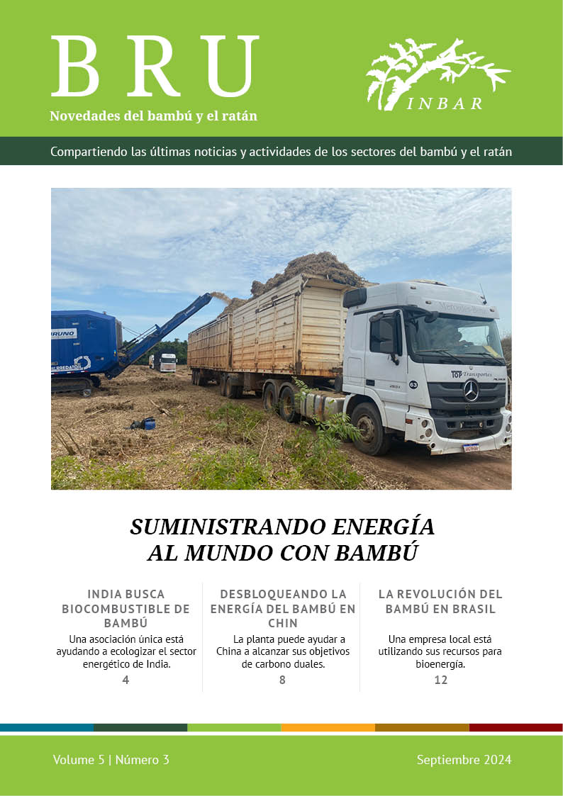 Suministrando energía al mundo con bambú – Novedades del bambú y el ratán Volumen 5 Número 3